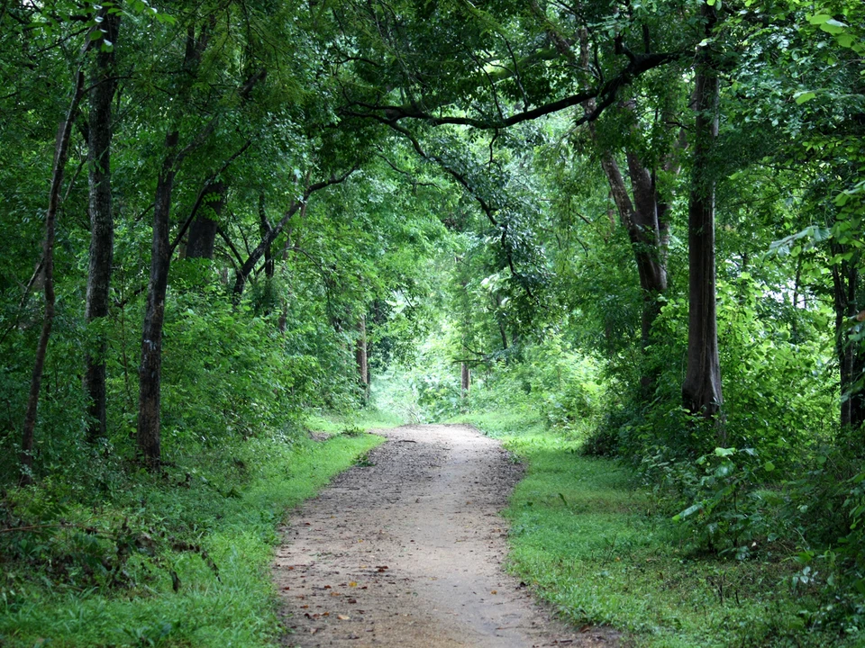 Planning Your Ampara Visit