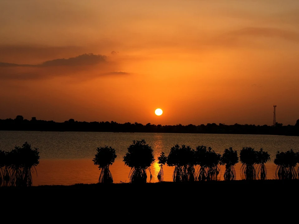 Batticaloa Lagoon & Singing Fish