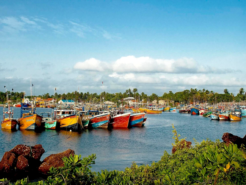 Fishing Harbour & Market