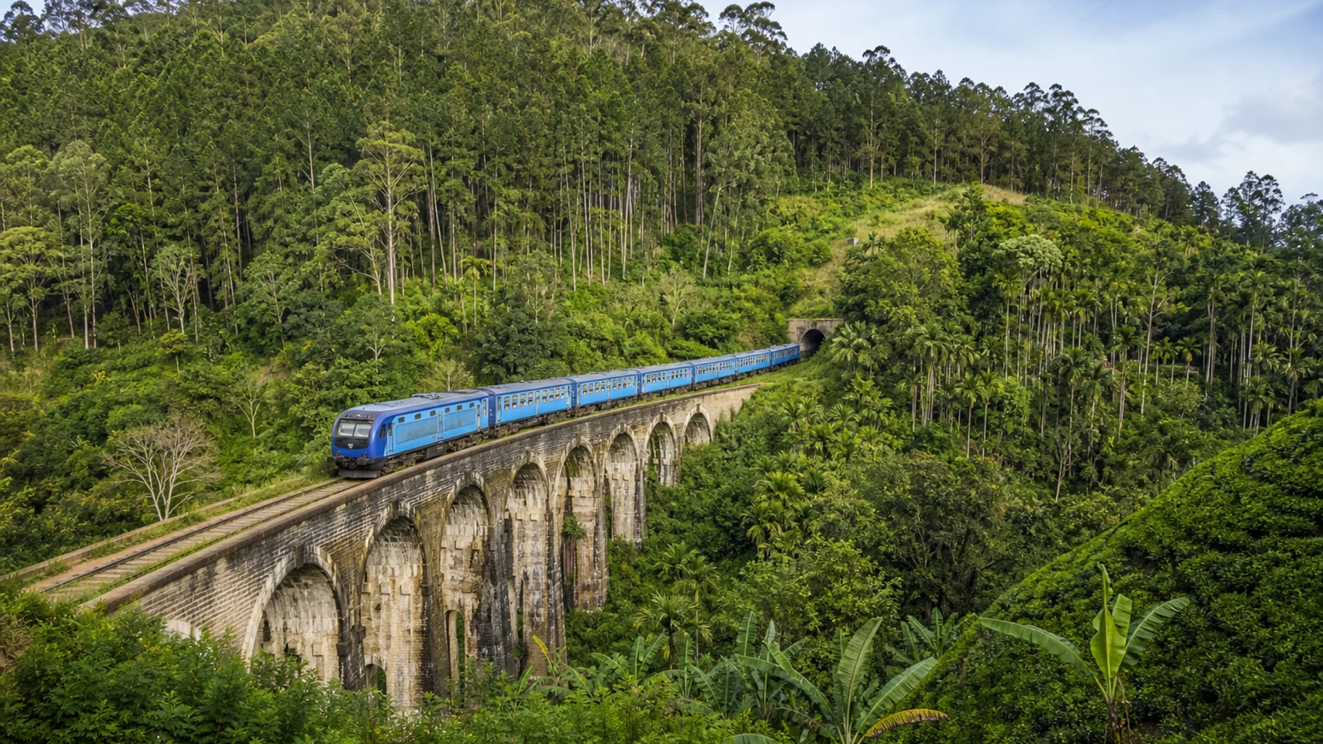 Classic 7-Day Sri Lanka Multi-Day Tour