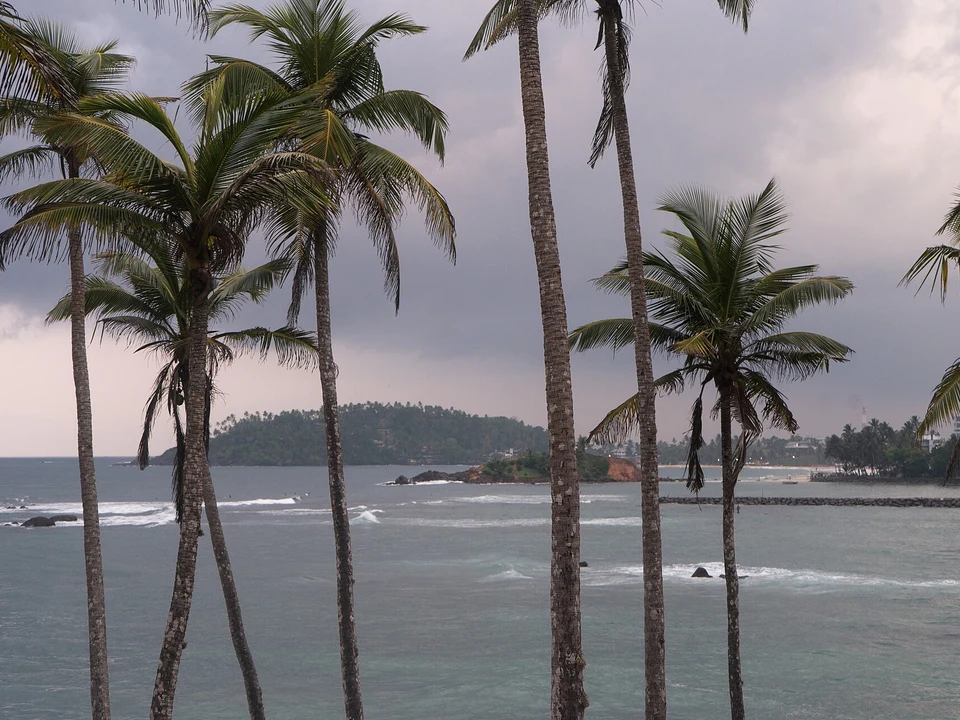 Activity Overview