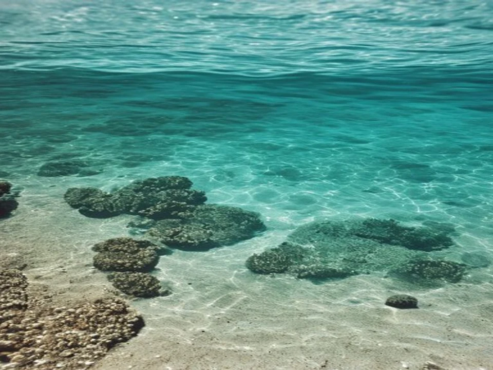 Surf, Reef & Bohemian Beach Life