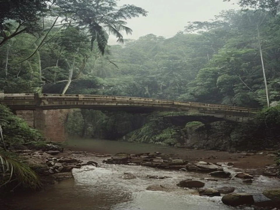 Rainforest Rafting & River Adventure