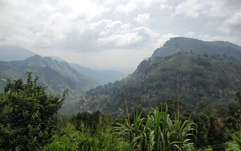 Knuckles Mountain Range Trek