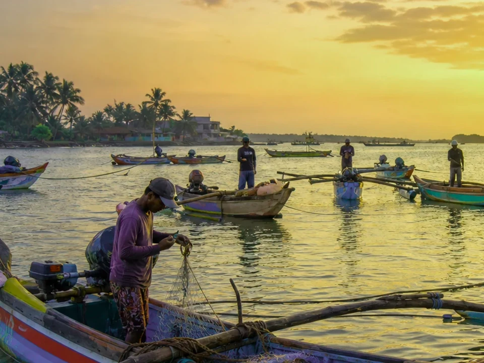 Fish Market & Harbour