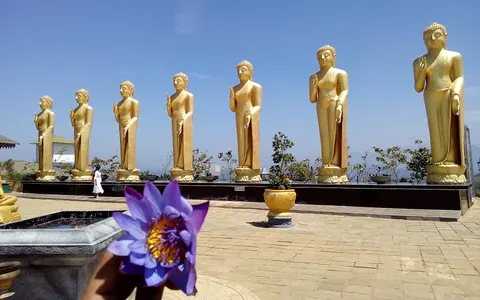 Nelligala International Buddhist Centre