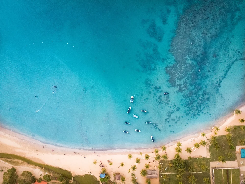 Snorkelling & Reef Trips