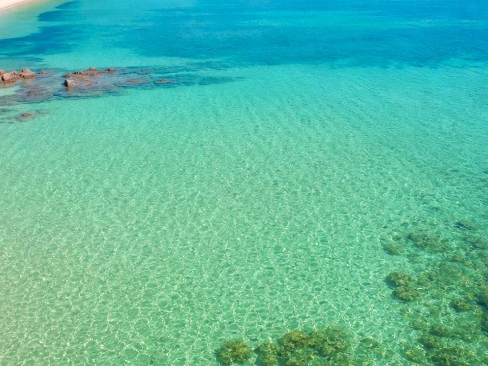 Snorkelling & Reef Trips
