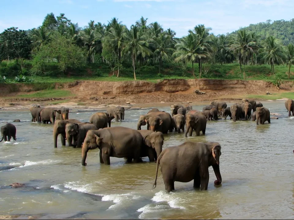 Where it is in Sri Lanka