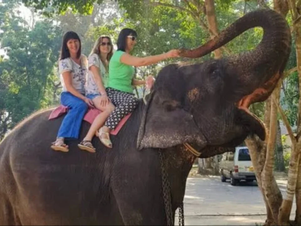 Why travellers seek it out