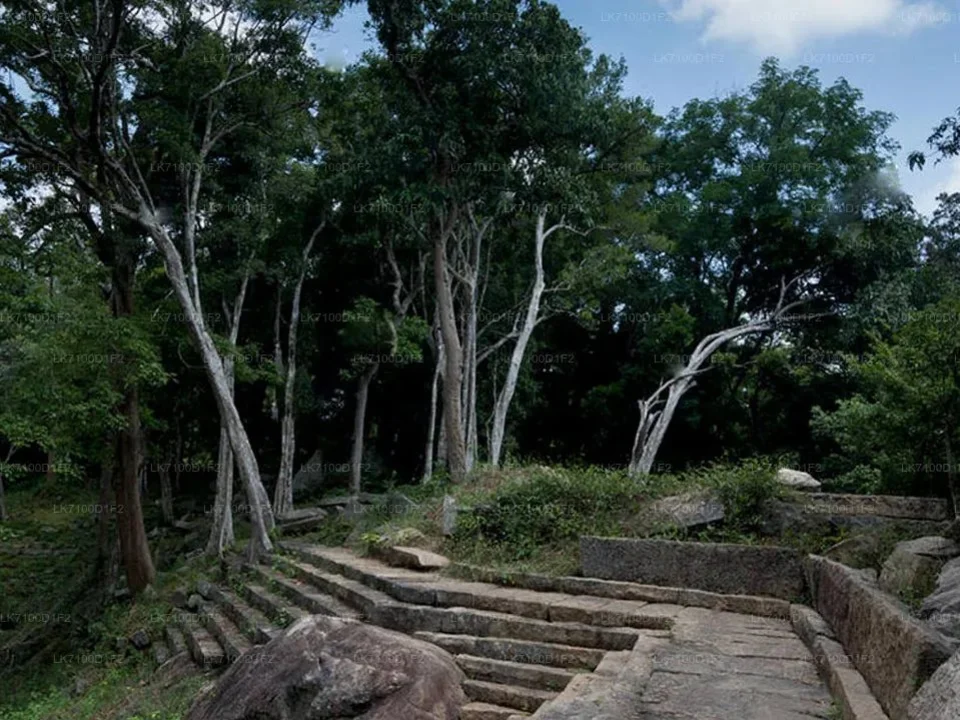 Where it is in Sri Lanka