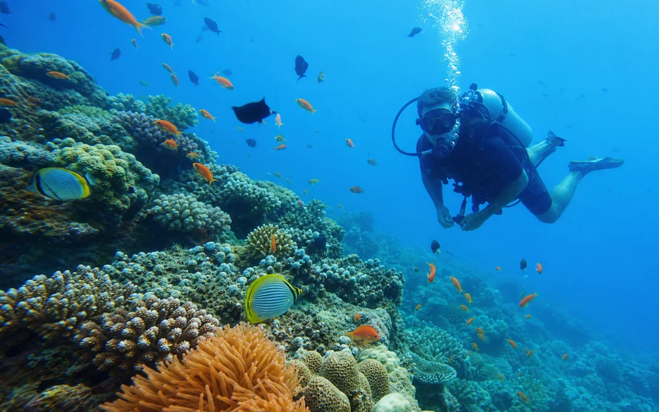 Scuba Diving in Hikkaduwa