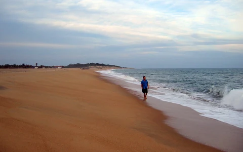 Arugam Bay Surfing
