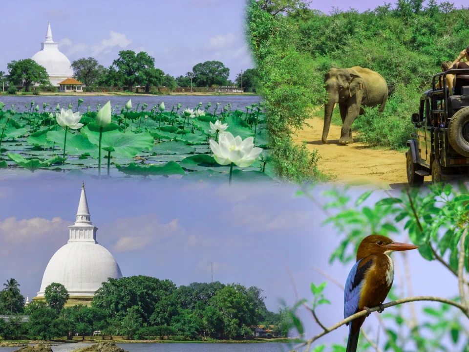 Safari Lodges & Eco Stays