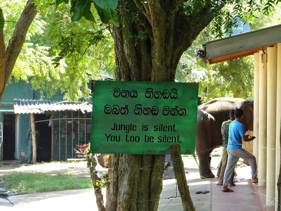 Elephant Transit Home