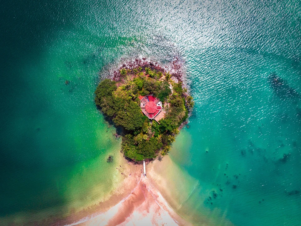 Beginner Surf & Bay Life