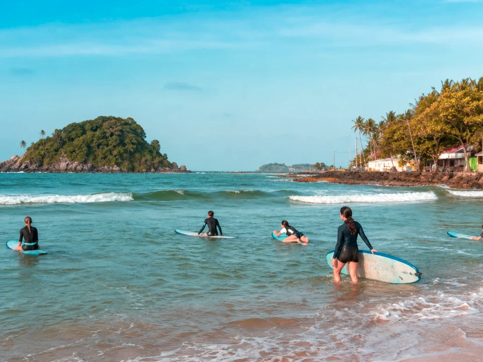Beginner Surf & Bay Life