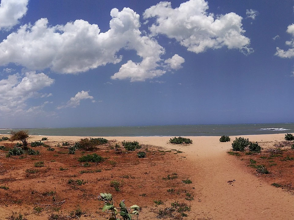 Coastal Dunes & Hidden Beaches