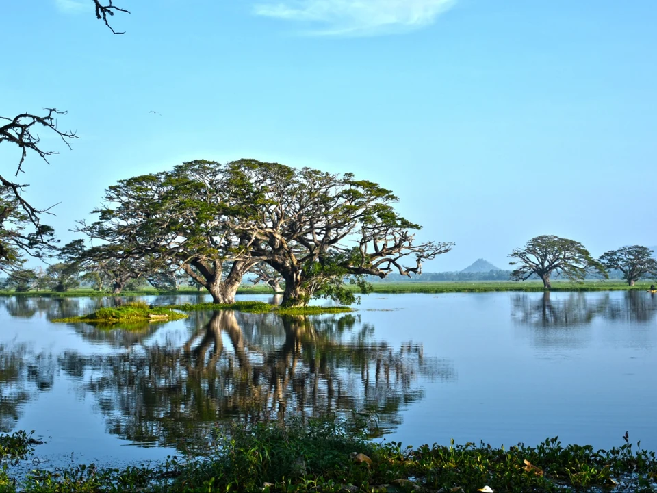 Tissamaharama & Ancient Lakes